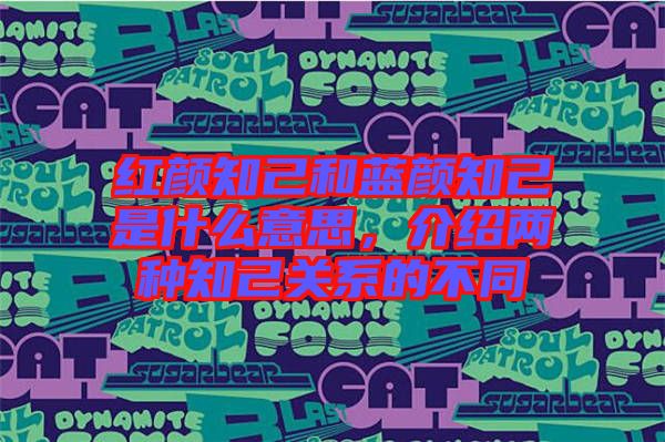 紅顏知己和藍顏知己是什么意思，介紹兩種知己關系的不同