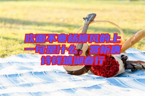 吹面不寒楊柳風(fēng)的上一句是什么，賞析唐詩(shī)錢(qián)塘湖春行