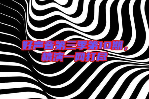 好聲音第三季第10期，精演一網(wǎng)打盡