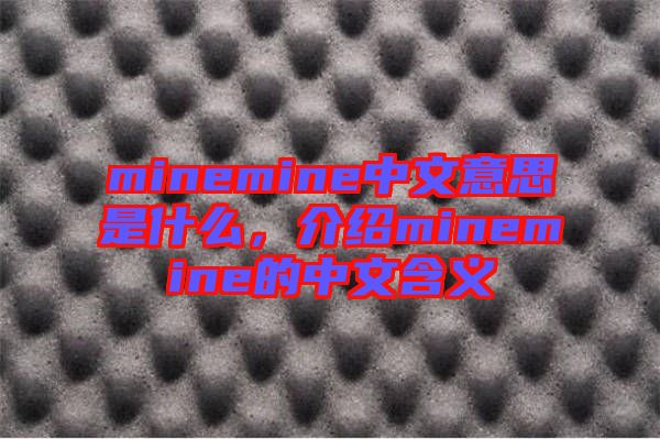 minemine中文意思是什么，介紹minemine的中文含義