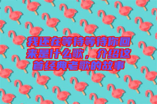 我還在等待等待你回來是什么歌，介紹這首經(jīng)典老歌的故事