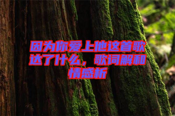 因?yàn)槟銗凵纤@首歌達(dá)了什么，歌詞解和情感析