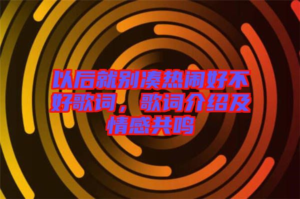 以后就別湊熱鬧好不好歌詞，歌詞介紹及情感共鳴