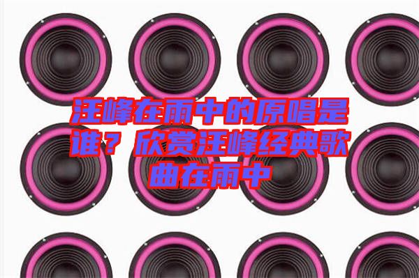 汪峰在雨中的原唱是誰(shuí)？欣賞汪峰經(jīng)典歌曲在雨中