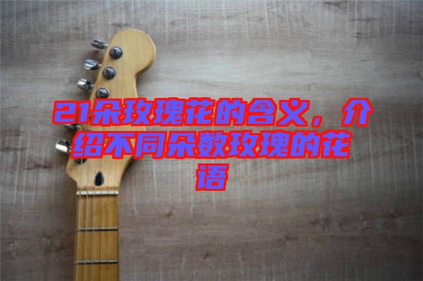 21朵玫瑰花的含義，介紹不同朵數(shù)玫瑰的花語(yǔ)