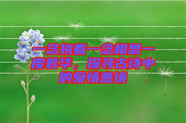 一念執(zhí)著一念相思一度君華，探尋古詩中的愛情意境