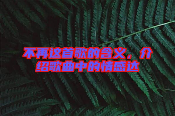 不再這首歌的含義，介紹歌曲中的情感達