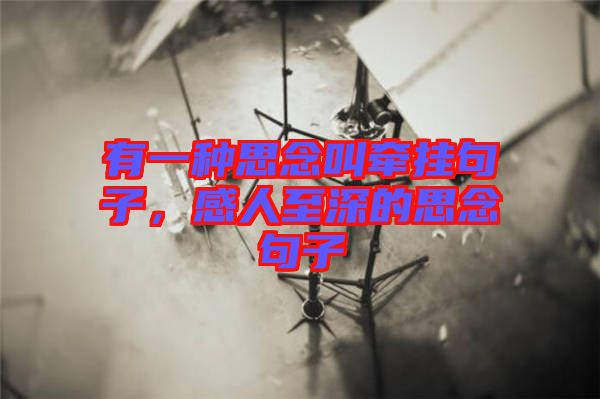 有一種思念叫牽掛句子，感人至深的思念句子