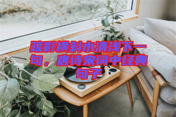 疏影橫斜水清淺下一句，唐詩(shī)宋詞中經(jīng)典句子