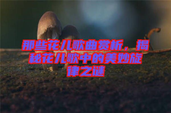 那些花兒歌曲賞析，揭秘花兒歌中的美妙旋律之謎