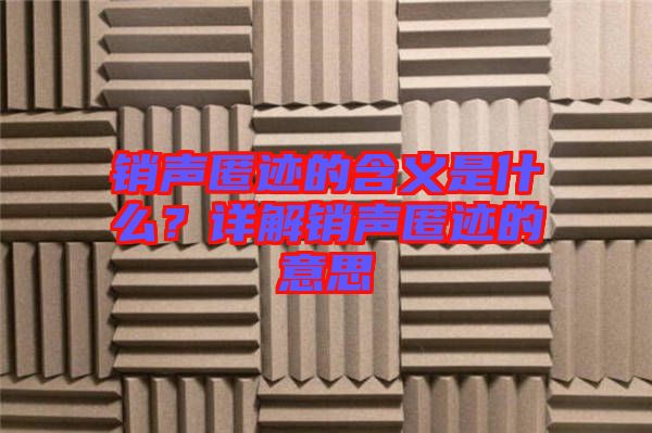 銷聲匿跡的含義是什么？詳解銷聲匿跡的意思