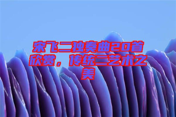 宋飛二獨(dú)奏曲20首欣賞，傳統(tǒng)二藝術(shù)之美