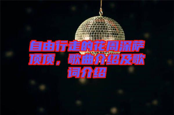 自由行走的花周深薩頂頂，歌曲介紹及歌詞介紹