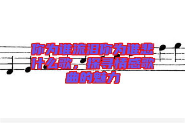 你為誰流淚你為誰悲什么歌，探尋情感歌曲的魅力