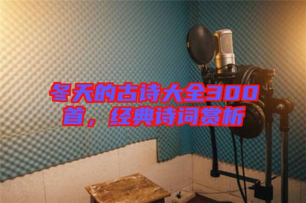冬天的古詩大全300首，經典詩詞賞析