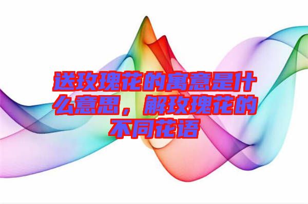 送玫瑰花的寓意是什么意思，解玫瑰花的不同花語