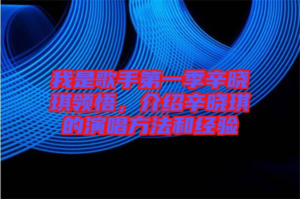 我是歌手第一季辛?xí)早黝I(lǐng)悟，介紹辛?xí)早鞯难莩椒ê徒?jīng)驗(yàn)