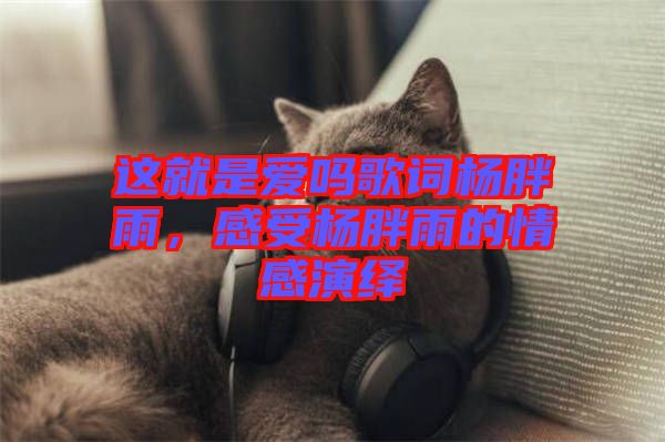 這就是愛嗎歌詞楊胖雨，感受楊胖雨的情感演繹