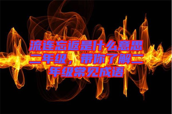 流連忘返是什么意思二年級，帶你了解二年級常見成語
