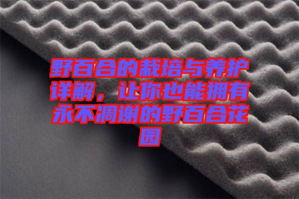 野百合的栽培與養(yǎng)護(hù)詳解，讓你也能擁有永不凋謝的野百合花園