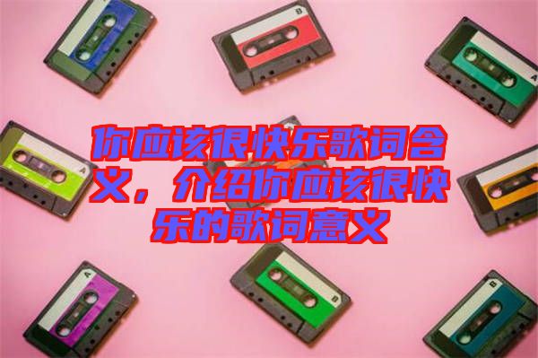你應(yīng)該很快樂(lè)歌詞含義，介紹你應(yīng)該很快樂(lè)的歌詞意義