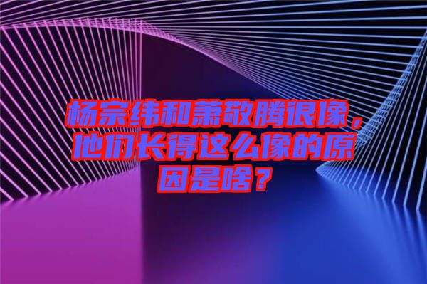 楊宗緯和蕭敬騰很像，他們長得這么像的原因是啥？