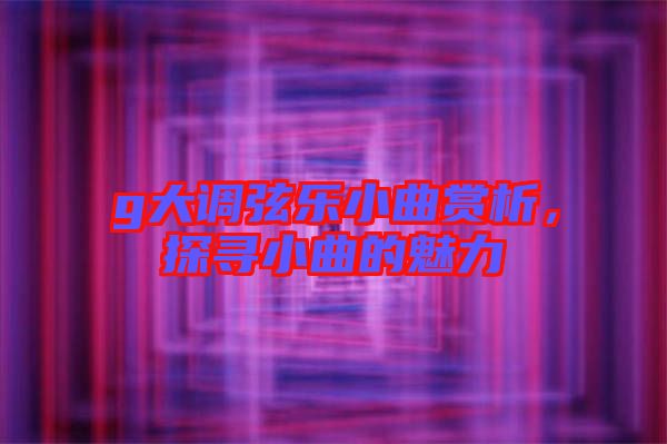 g大調(diào)弦樂小曲賞析，探尋小曲的魅力