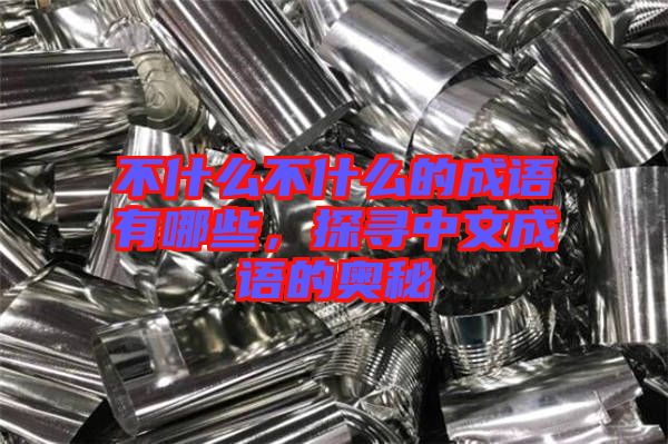 不什么不什么的成語有哪些，探尋中文成語的奧秘