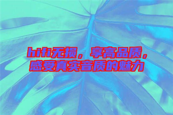 hifi無損，享高品質(zhì)，感受真實音質(zhì)的魅力