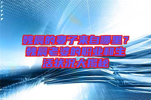 魏晨的妻子來自哪里？魏晨老婆的職業(yè)和生活狀況大揭秘