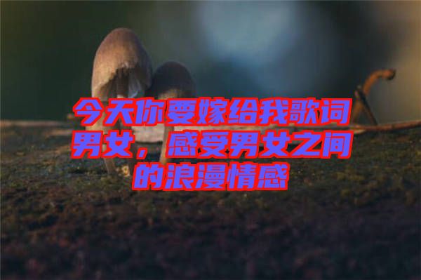 今天你要嫁給我歌詞男女，感受男女之間的浪漫情感