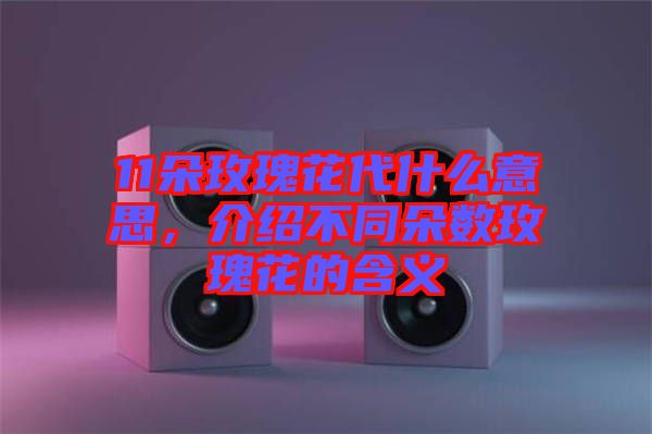 11朵玫瑰花代什么意思，介紹不同朵數(shù)玫瑰花的含義