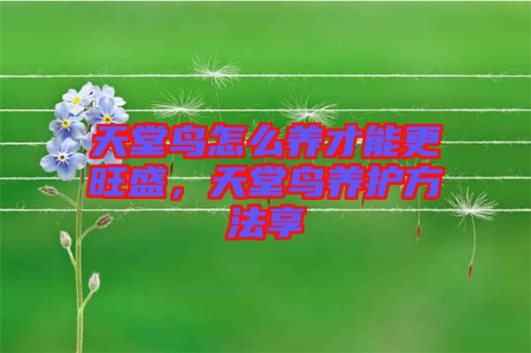 天堂鳥(niǎo)怎么養(yǎng)才能更旺盛，天堂鳥(niǎo)養(yǎng)護(hù)方法享