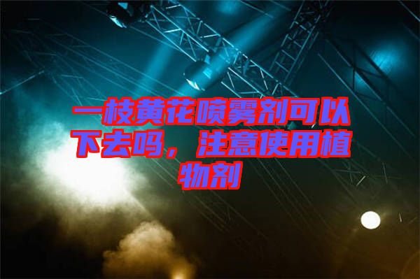 一枝黃花噴霧劑可以下去嗎，注意使用植物劑