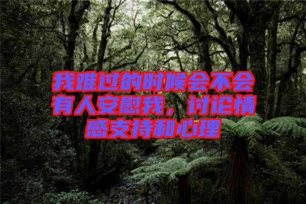我難過的時(shí)候會(huì)不會(huì)有人安慰我，討論情感支持和心理