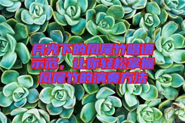 月光下的鳳尾竹唱譜示范，讓你輕松掌握鳳尾竹的演奏方法