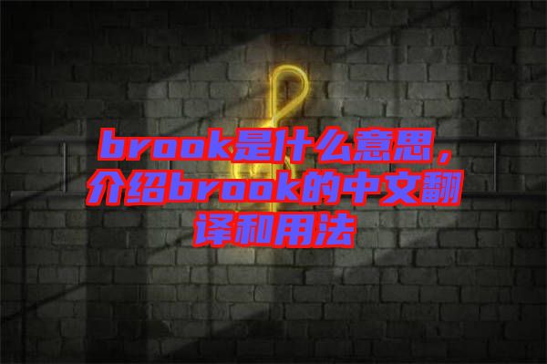 brook是什么意思，介紹brook的中文翻譯和用法