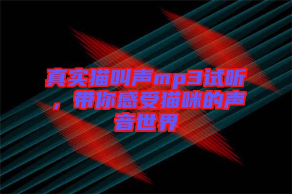 真實(shí)貓叫聲mp3試聽，帶你感受貓咪的聲音世界
