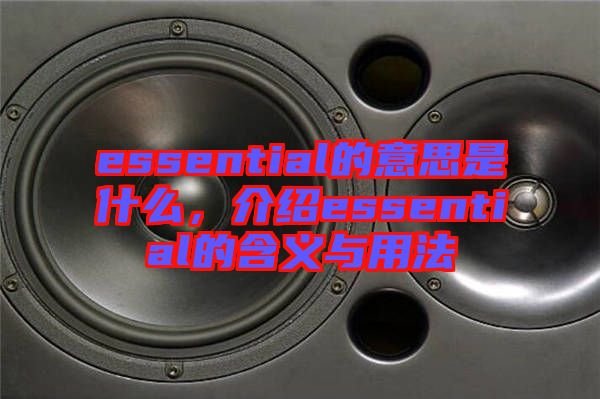 essential的意思是什么，介紹essential的含義與用法