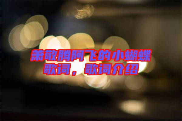蕭敬騰阿飛的小蝴蝶歌詞，歌詞介紹