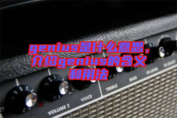 genius是什么意思，介紹genius的含義和用法