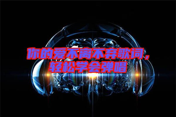 你的愛不離不棄歌詞，輕松學(xué)會彈唱
