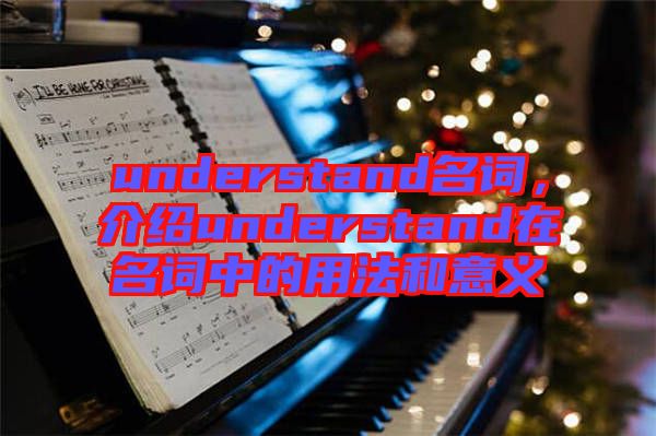understand名詞，介紹understand在名詞中的用法和意義