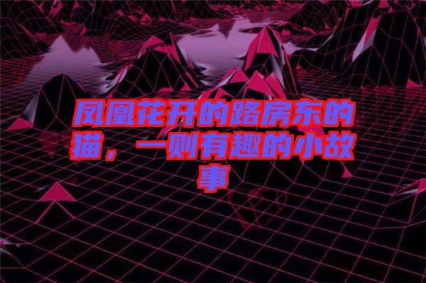 鳳凰花開(kāi)的路房東的貓，一則有趣的小故事