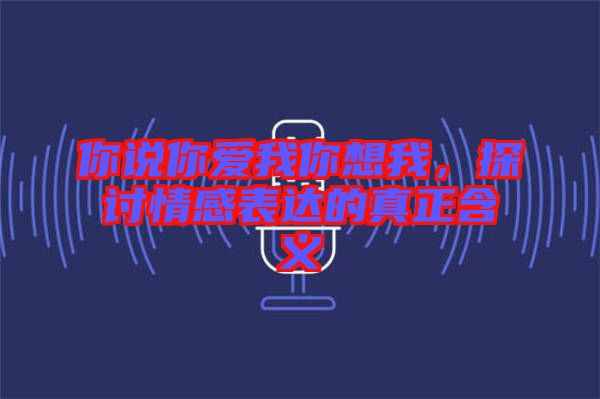 你說你愛我你想我，探討情感表達的真正含義