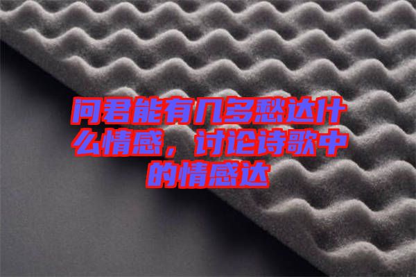 問君能有幾多愁達什么情感，討論詩歌中的情感達