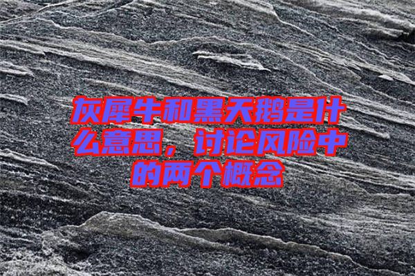 灰犀牛和黑天鵝是什么意思，討論風險中的兩個概念