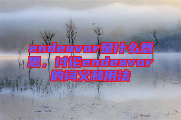 endeavor是什么意思，討論endeavor的詞義和用法