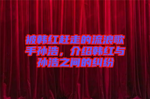 被韓紅趕走的流浪歌手孫浩，介紹韓紅與孫浩之間的糾紛