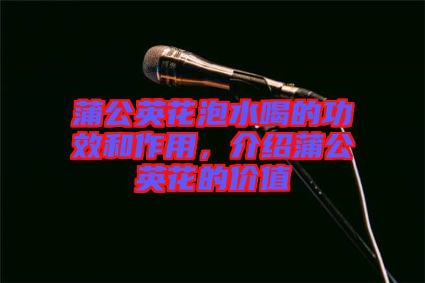 蒲公英花泡水喝的功效和作用，介紹蒲公英花的價值